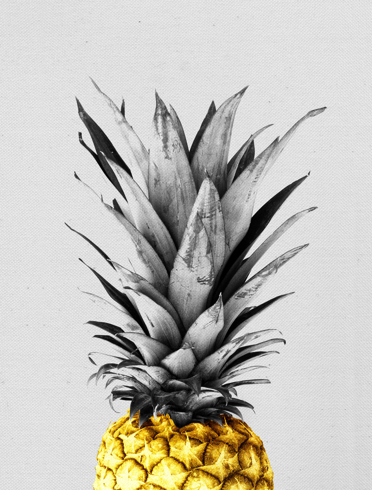 framedcanvas-print-vibrant-golden-pineapple