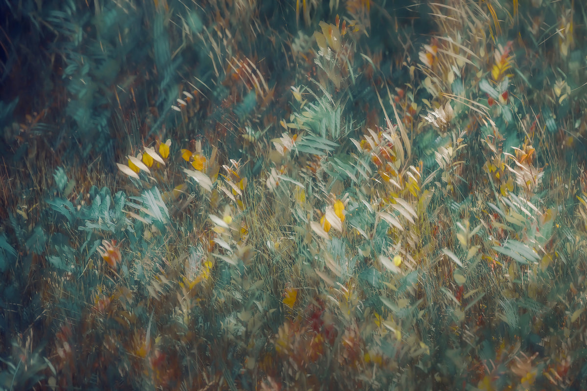 3-piece-canvas-print-late-summer
