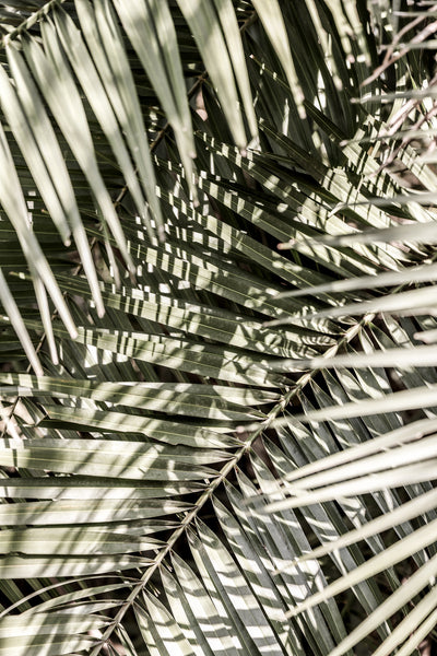 poster-print-graphic-breeze