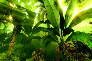 modern-3-piece-canvas-print-sunrise-in-the-rainforest