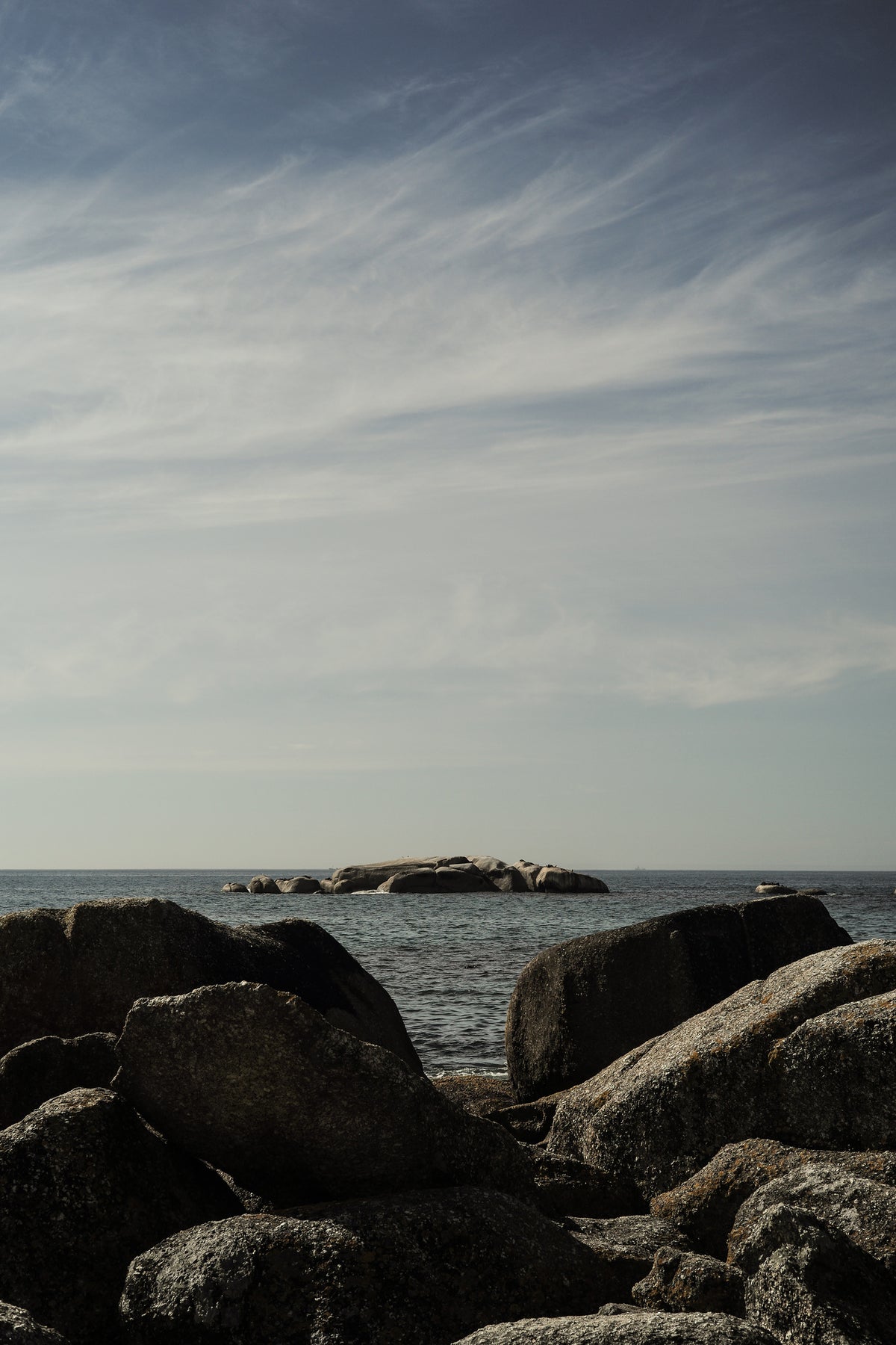 canvas-print-nature-inspired-artwork
