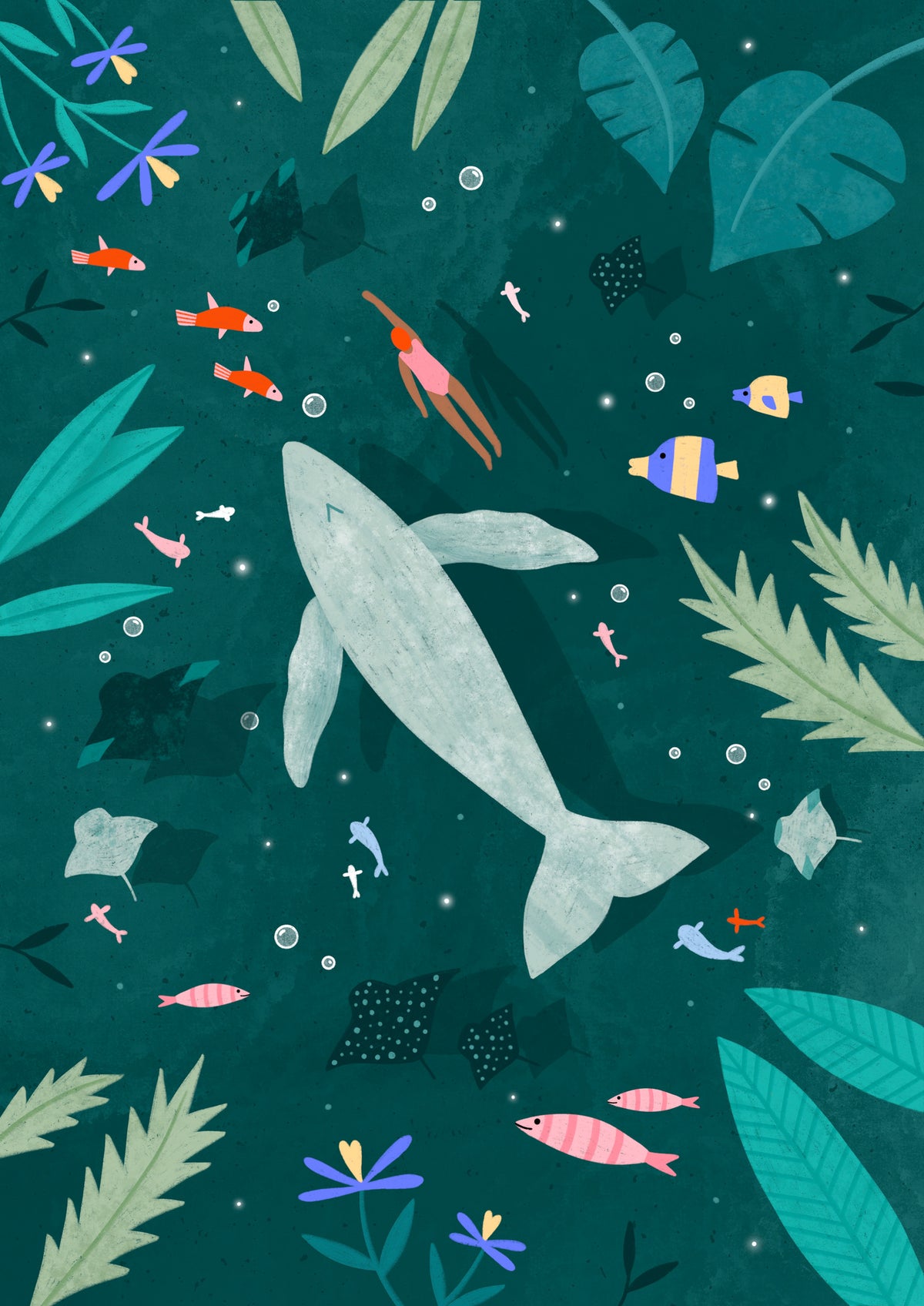 framedposter-print-swimming-with-a-whale