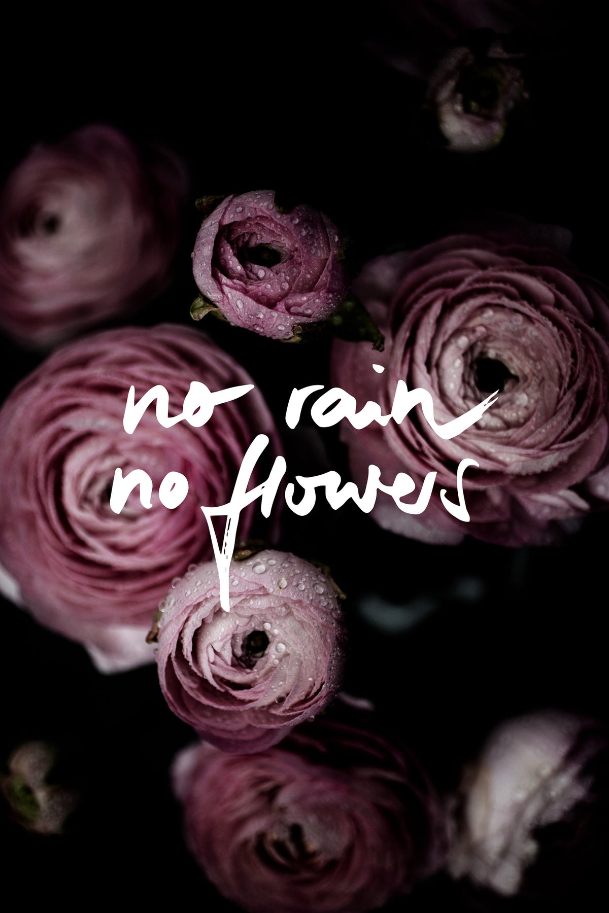 acrylic-print-no-rain-no-flowers-2