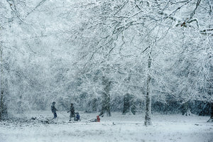 3-piece-canvas-print-winter-dream-2