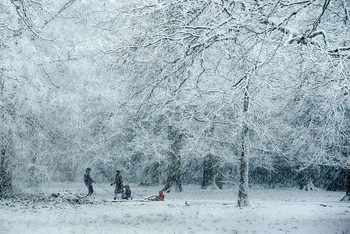 3-piece-canvas-print-winter-dream-2