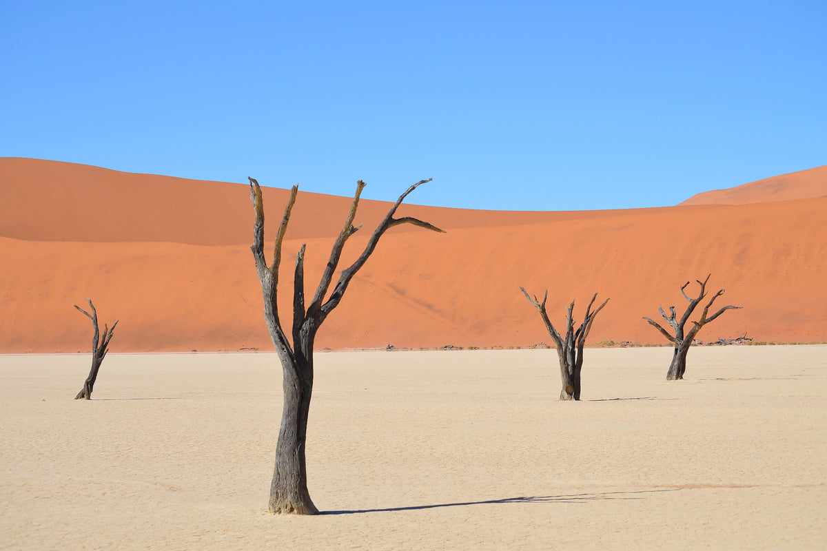 aluminium-print-sossusvlei-namibia