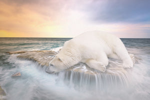 modern-3-piece-acrylic-print-the-polar-bear-and-the-sea