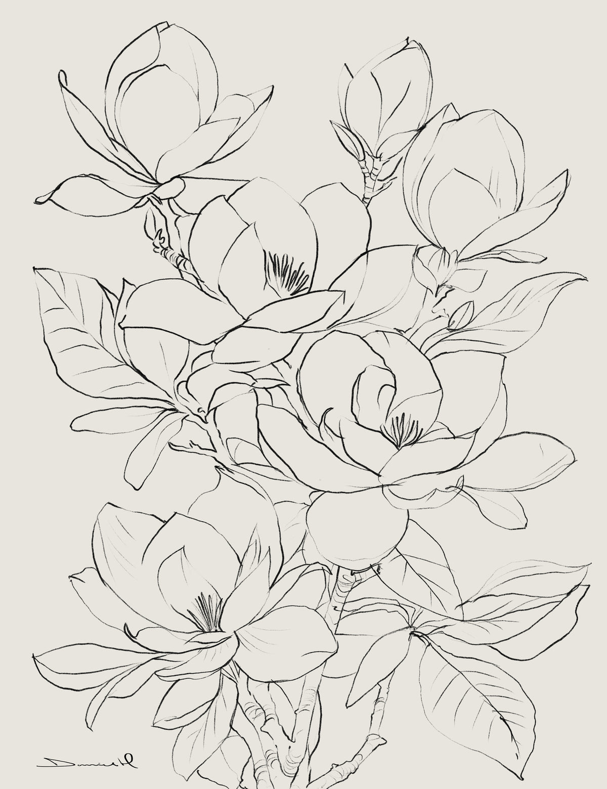 canvas-print-magnolia-tree