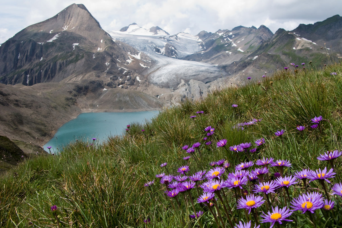 canvas-print-corno-gries-switzerland-x