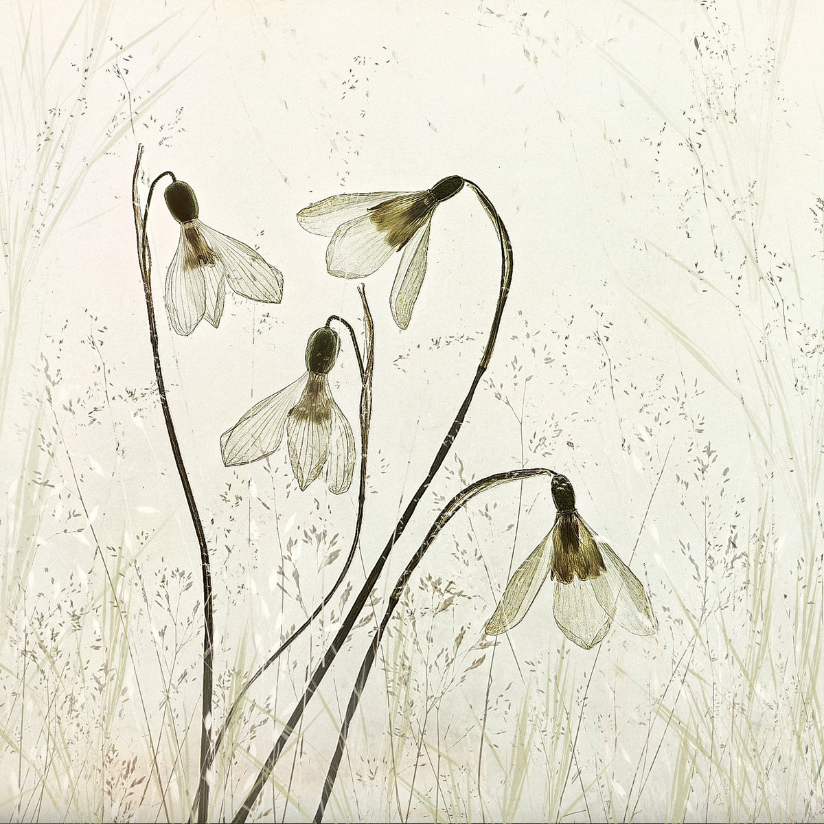 4-piece-acrylic-print-springtime