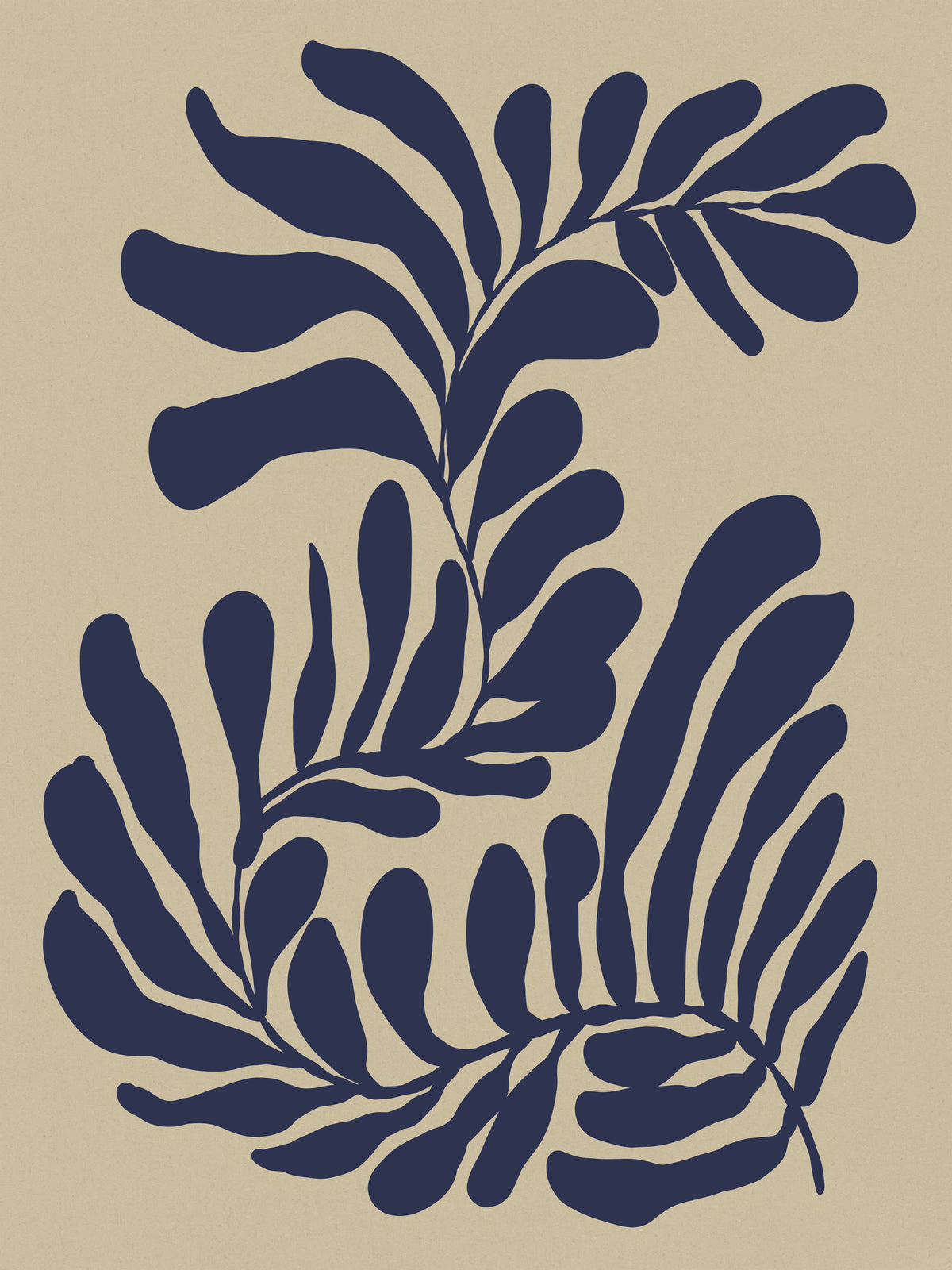 acrylic-print-seaweed-3