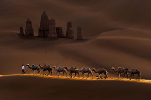 3-piece-acrylic-print-castle-and-camels