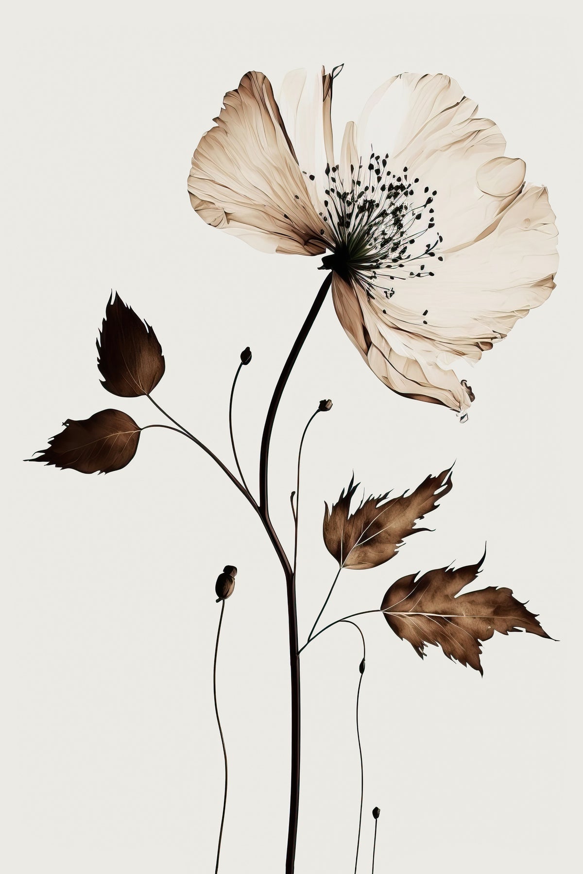 acrylic-print-whispering-blossom-2