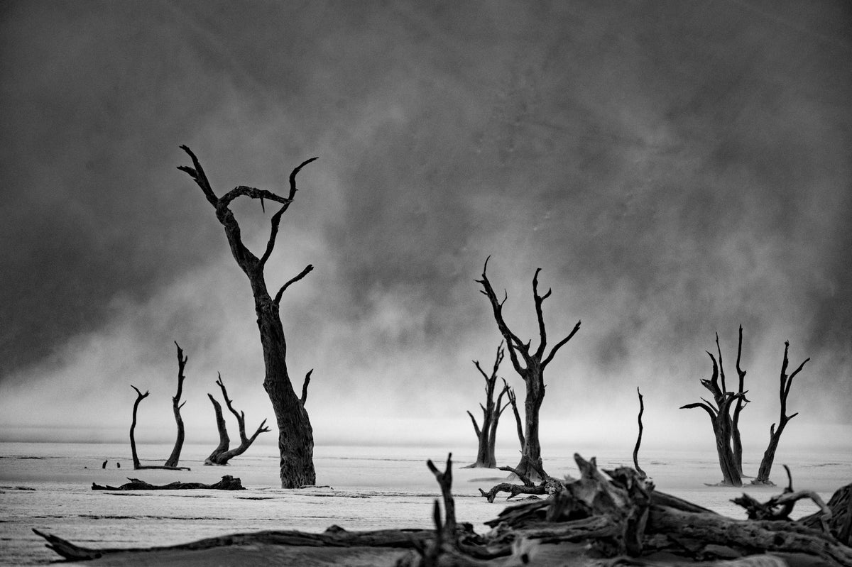 canvas-print-namibia-the-spirit-of-wilderness-4