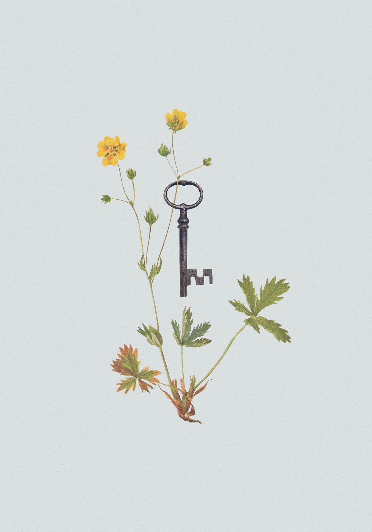 canvas-print-botanical-vintage-key