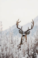 framedposter-print-winter039s-silent-watch