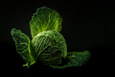 poster-print-the-cabbage