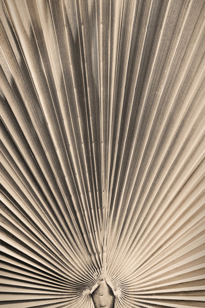 poster-print-solaris-07