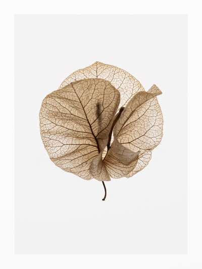 poster-print-fragile-glow