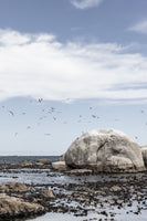aluminium-print-rocky-seashore-under-a-clear-sky