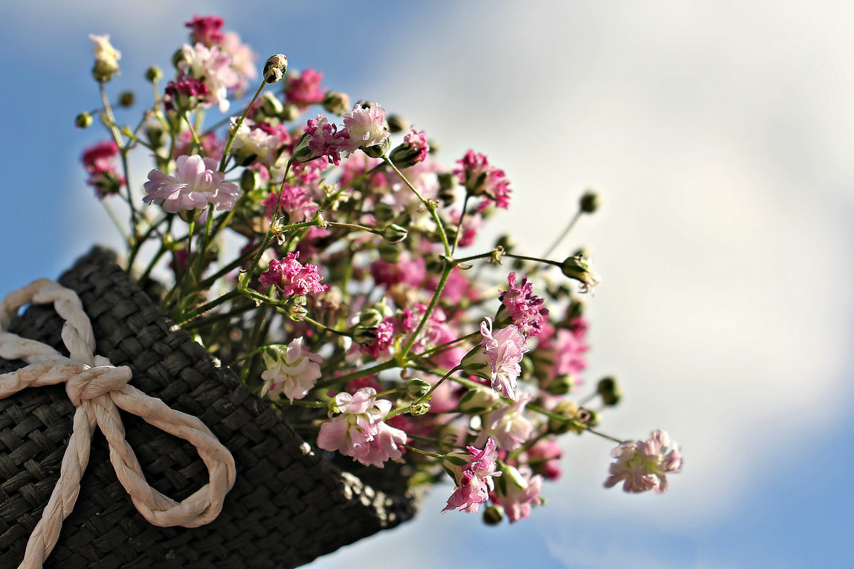 aluminium-print-the-gypsophila