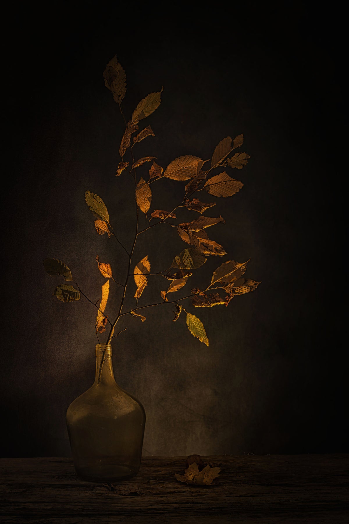 poster-print-ephemeral-beauty-4