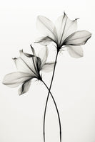canvas-print-whispers-of-petals