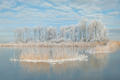 poster-print-winter-xfq