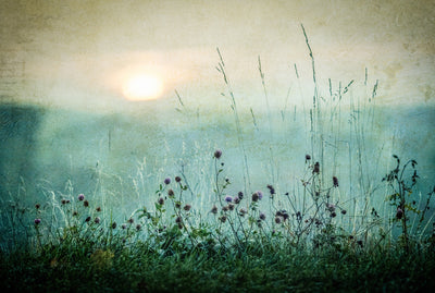 poster-print-autumn-sunrise