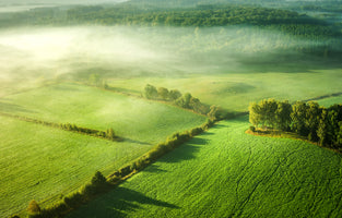 3-piece-canvas-print-above-the-mist