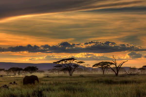 aluminium-print-africa-x