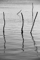 acrylic-print-reflected-stillness