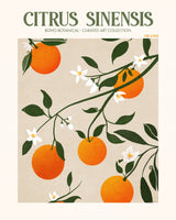 aluminium-print-orange-elegance