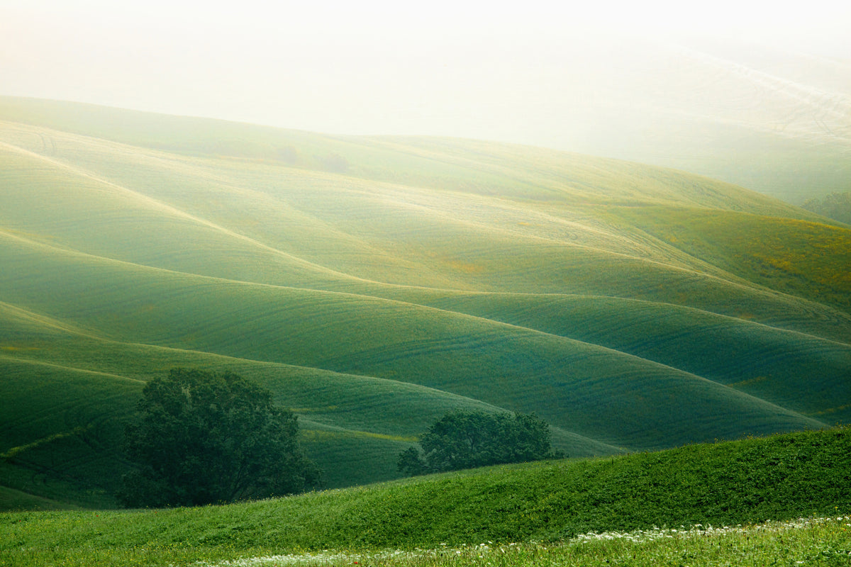 aluminium-print-tuscany