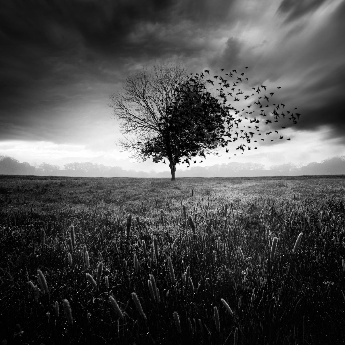 aluminium-print-illusion-dun-printemps-perdu