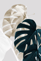 aluminium-print-monstera-creative-05