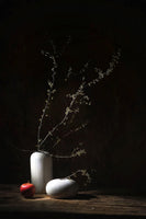 poster-print-frozen-in-spring