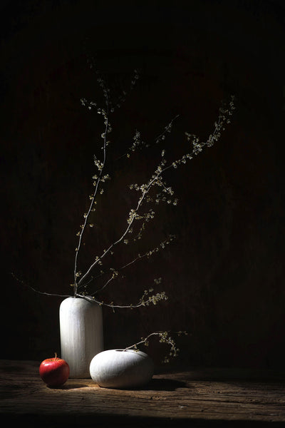 poster-print-frozen-in-spring