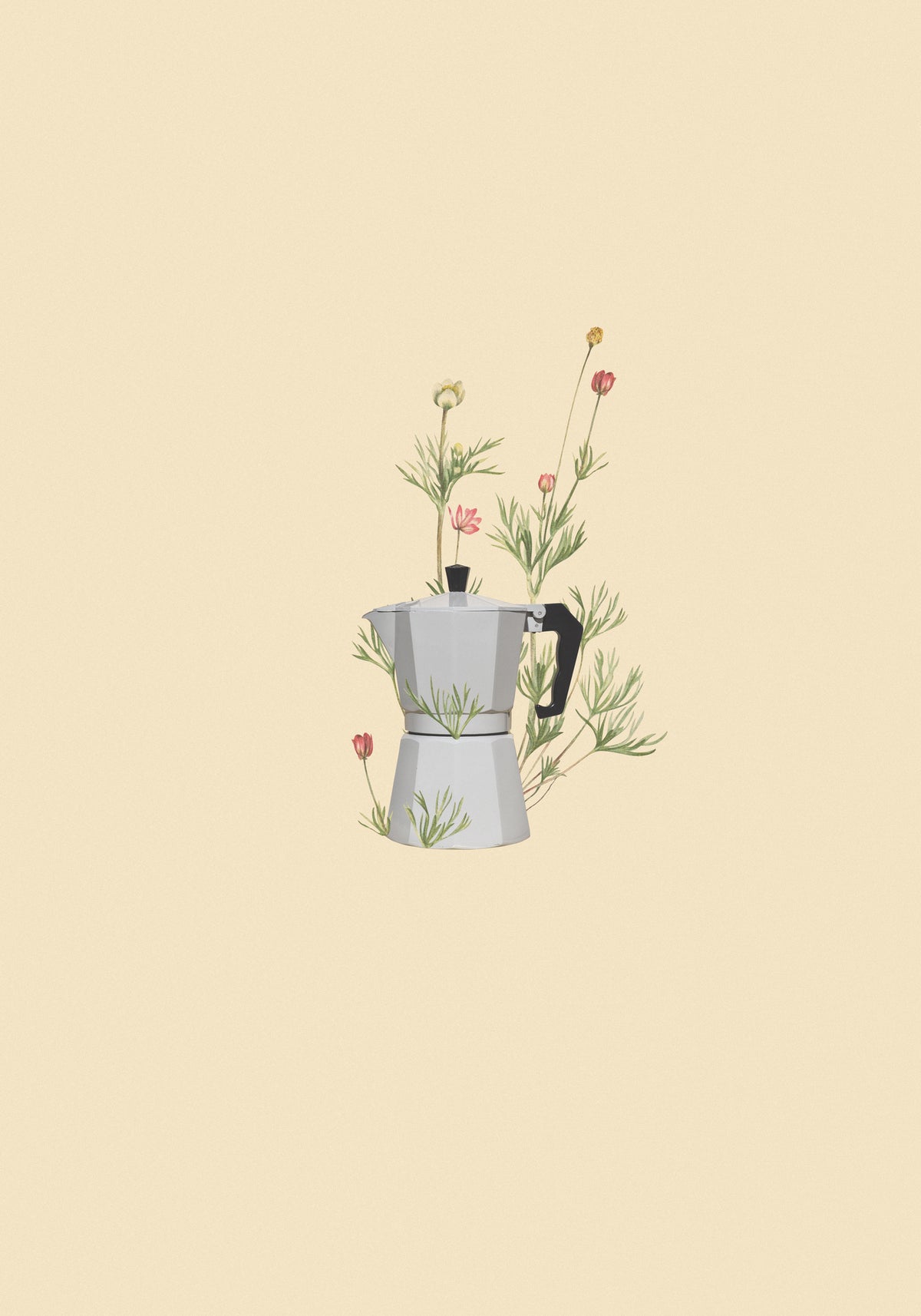 framedcanvas-print-floral-moka-express