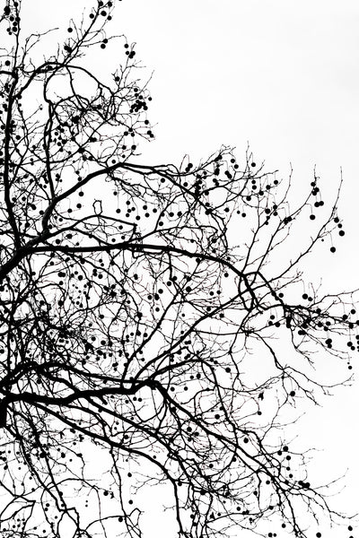 poster-print-winter-silhouettes-5