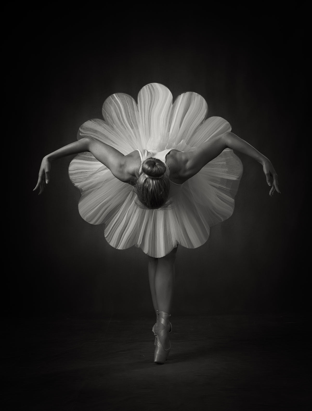 framedposter-print-floral-ballet