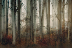 aluminium-print-autumn-light-2