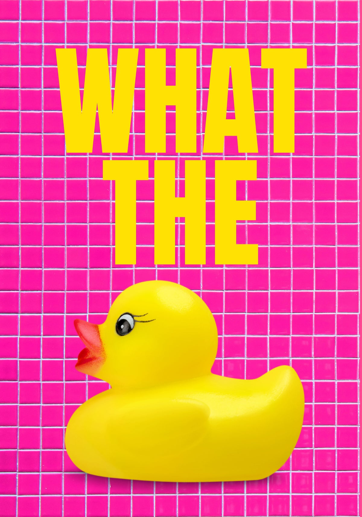 framedcanvas-print-duck-surprise