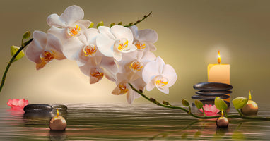 poster-print-orchid-with-floating-candles