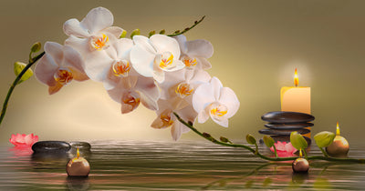 poster-print-orchid-with-floating-candles