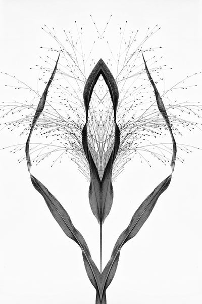 poster-print-black-grass-2