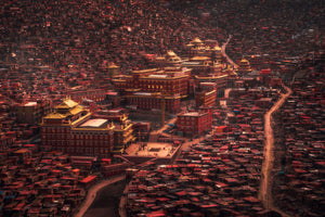 aluminium-print-the-buddha-domain-x