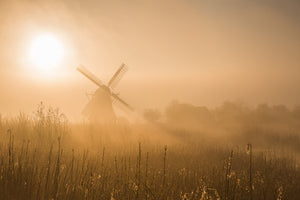 aluminium-print-golden-dawn-x