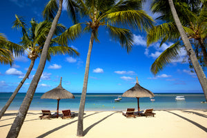 framedposter-print-mauritius