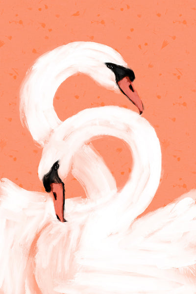 poster-print-graceful-swans